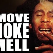 HOW TO GET RID OF BAD SMELLS - Lovecars