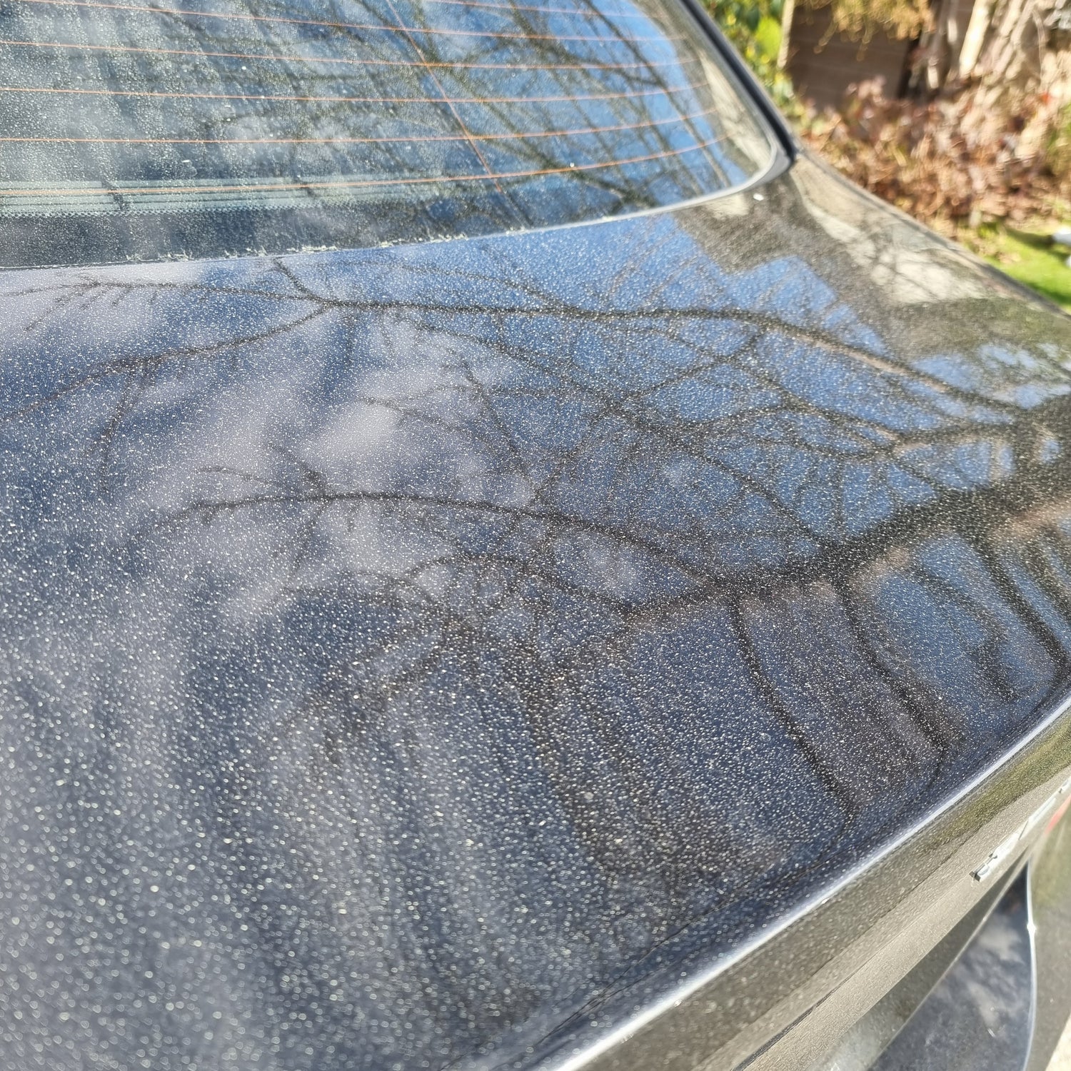 How to Clean Pollen Off Your Car Safely