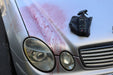 Autostolz Brake Dust & Iron Remover (500ml) - Lovecars - Autostolz - Wheels and Tyres - A3232H - 